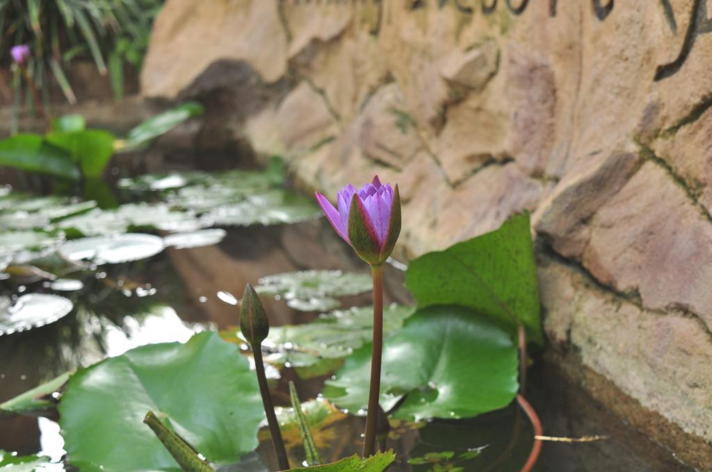 Soba Lanka Holiday Resort Melsiripura Екстериор снимка