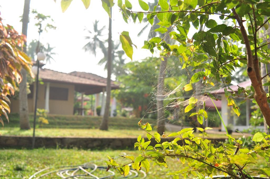 Soba Lanka Holiday Resort Melsiripura Екстериор снимка