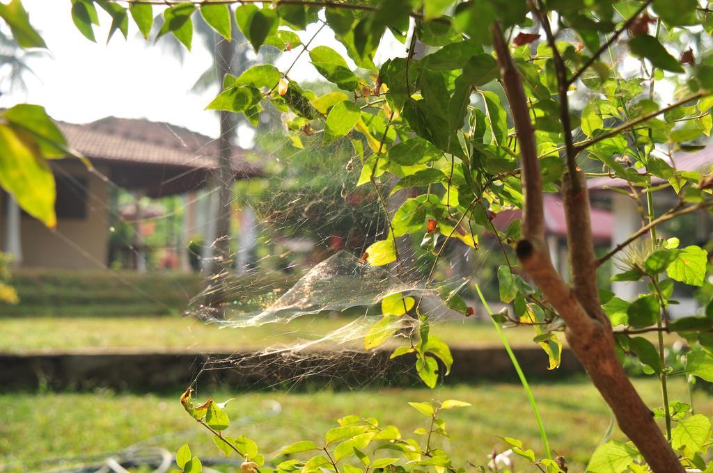 Soba Lanka Holiday Resort Melsiripura Екстериор снимка