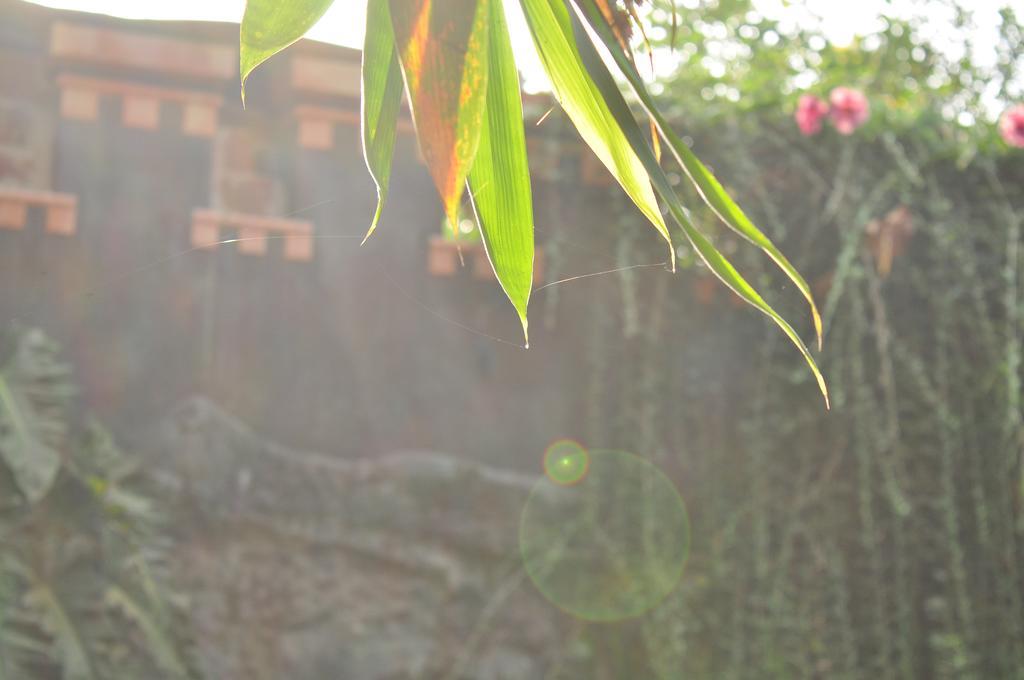 Soba Lanka Holiday Resort Melsiripura Екстериор снимка