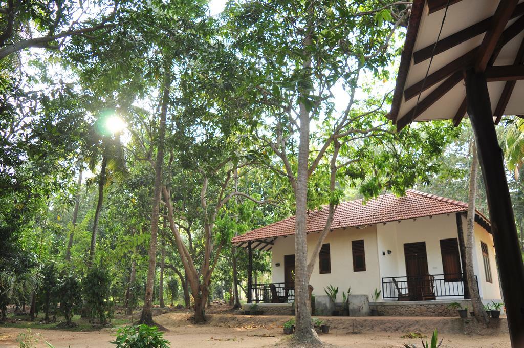 Soba Lanka Holiday Resort Melsiripura Екстериор снимка