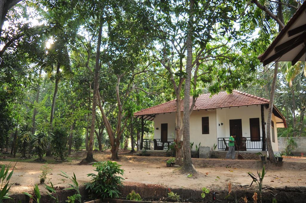 Soba Lanka Holiday Resort Melsiripura Екстериор снимка