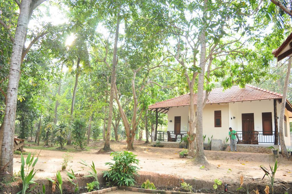 Soba Lanka Holiday Resort Melsiripura Екстериор снимка