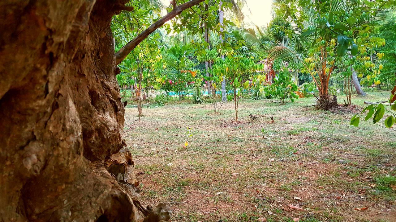 Soba Lanka Holiday Resort Melsiripura Екстериор снимка
