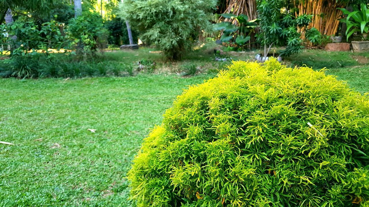 Soba Lanka Holiday Resort Melsiripura Екстериор снимка