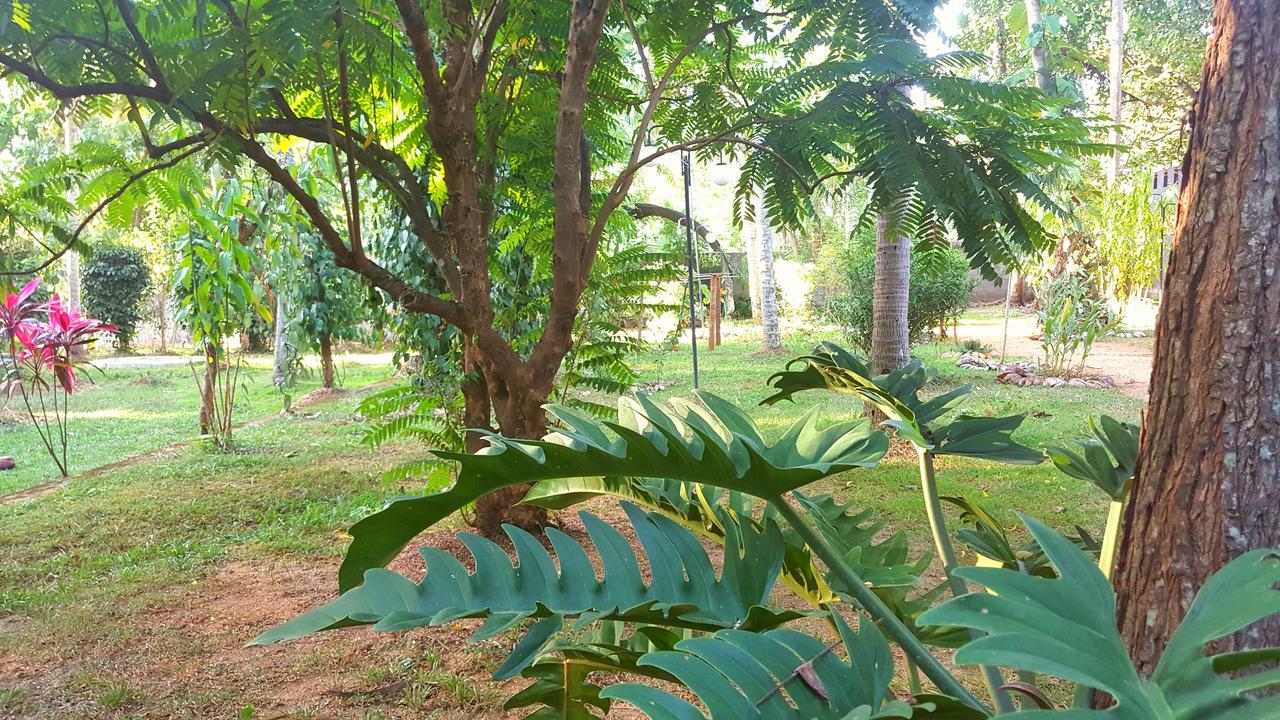 Soba Lanka Holiday Resort Melsiripura Екстериор снимка