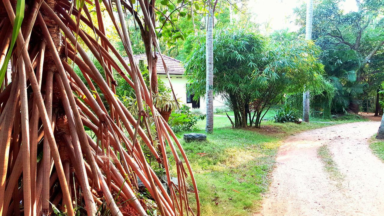 Soba Lanka Holiday Resort Melsiripura Екстериор снимка