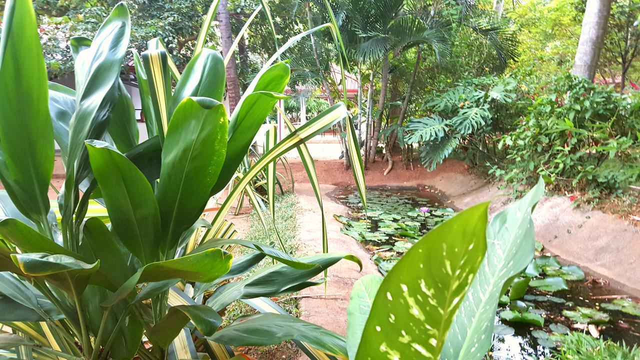 Soba Lanka Holiday Resort Melsiripura Екстериор снимка