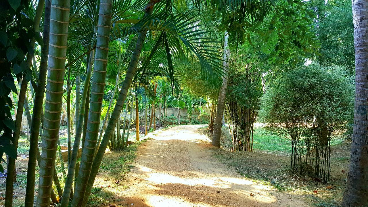 Soba Lanka Holiday Resort Melsiripura Екстериор снимка